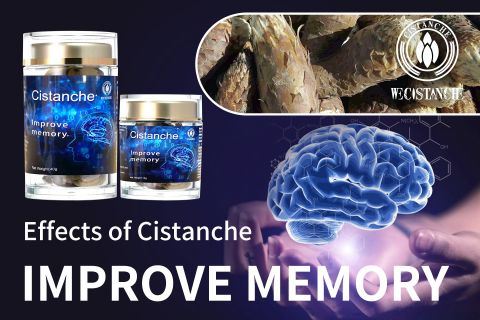 Cistanche-improve memory1 Cistanche-improve memory1