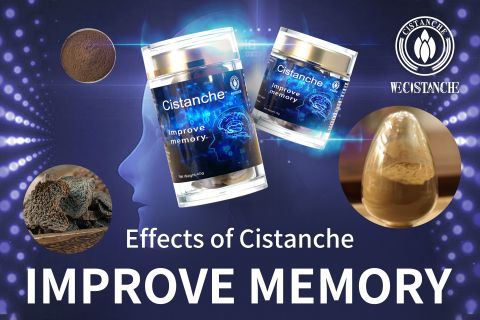 Cistanche Cistanche