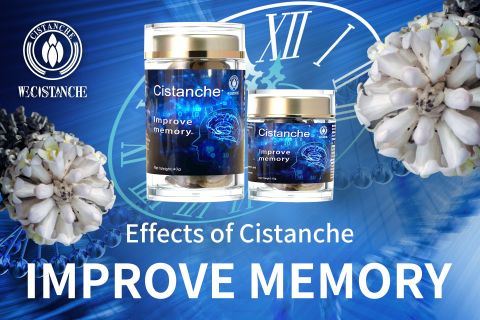 Cistanche-improve memory3 Cistanche-improve memory3