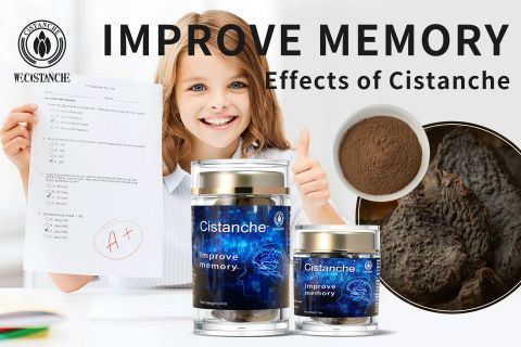 Cistanche-improve memory Cistanche-improve memory