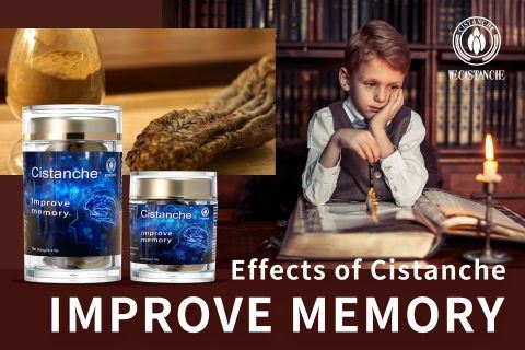 Cistanche-improve memory9 Cistanche-improve memory9