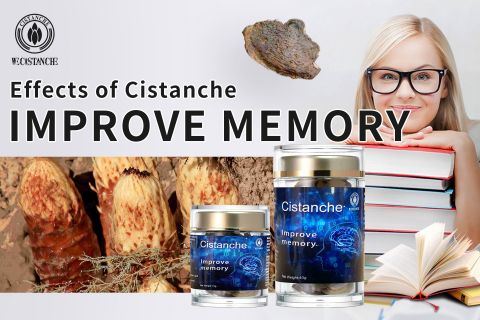 Cistanche-improve memory14 Cistanche-improve memory14