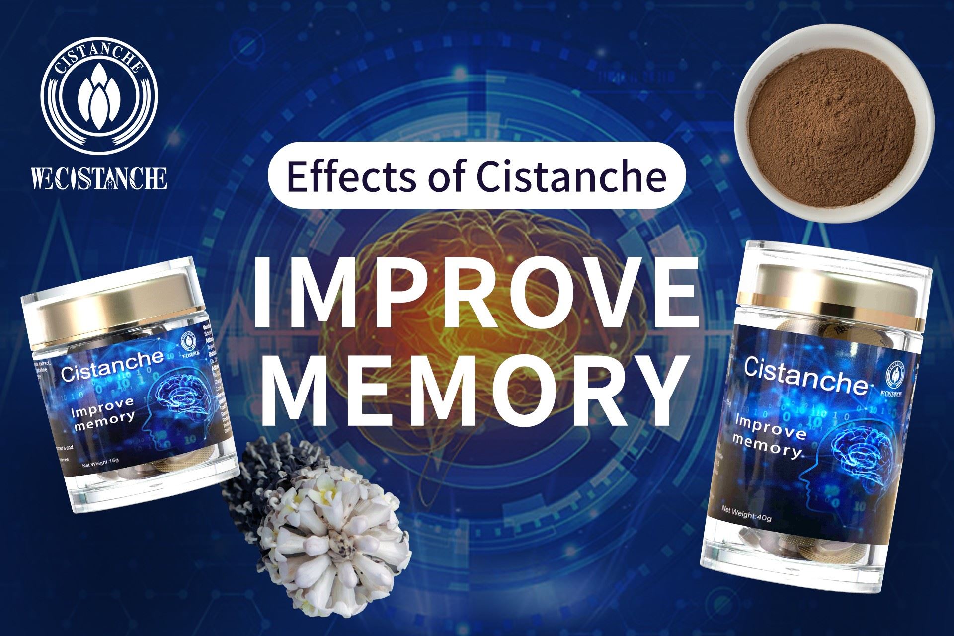 improve memory cistanche extract and supplement improve memory cistanche extract and supplement