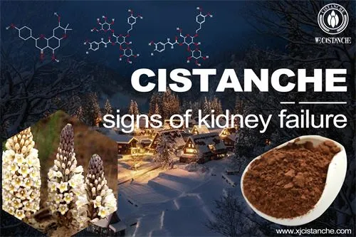 acute kidney injury and chronic kidney disease care acute kidney injury and chronic kidney disease care