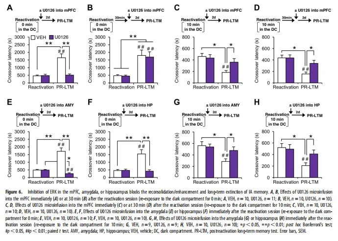 Inhibition of ERK in the mPFC Inhibition of ERK in the mPFC