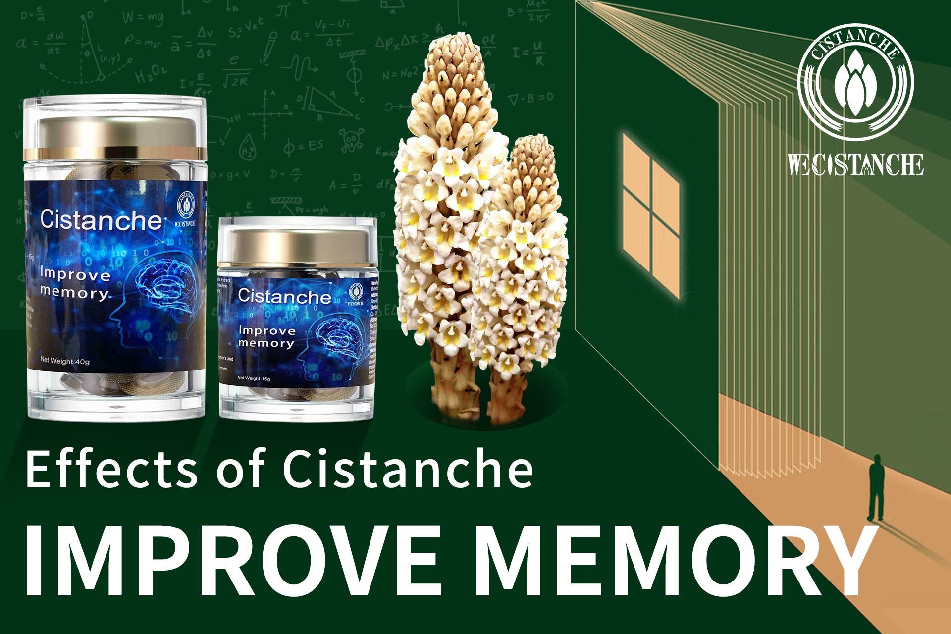 improving memory Cistanche tubulosa supplement 