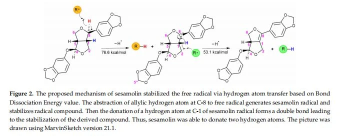 the proposed mechanism of sesamolin the proposed mechanism of sesamolin