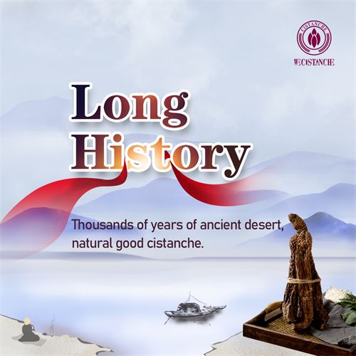 long history long history