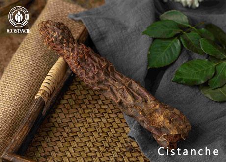 Cistanches Herba