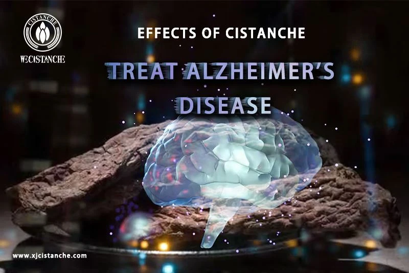 herb for alzheimer's disease herb for alzheimer's disease