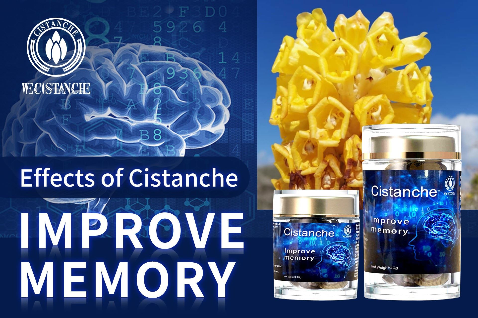 how to improve memory how to improve memory