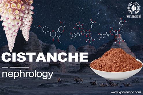 cistanche extract