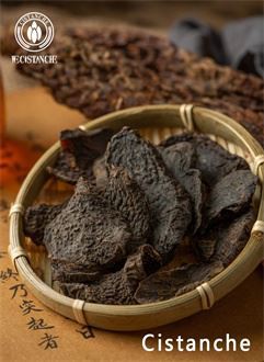 cistanche tubolosa slices