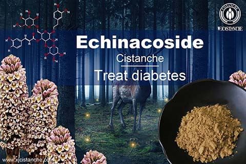 best herb for choronic kidney disease