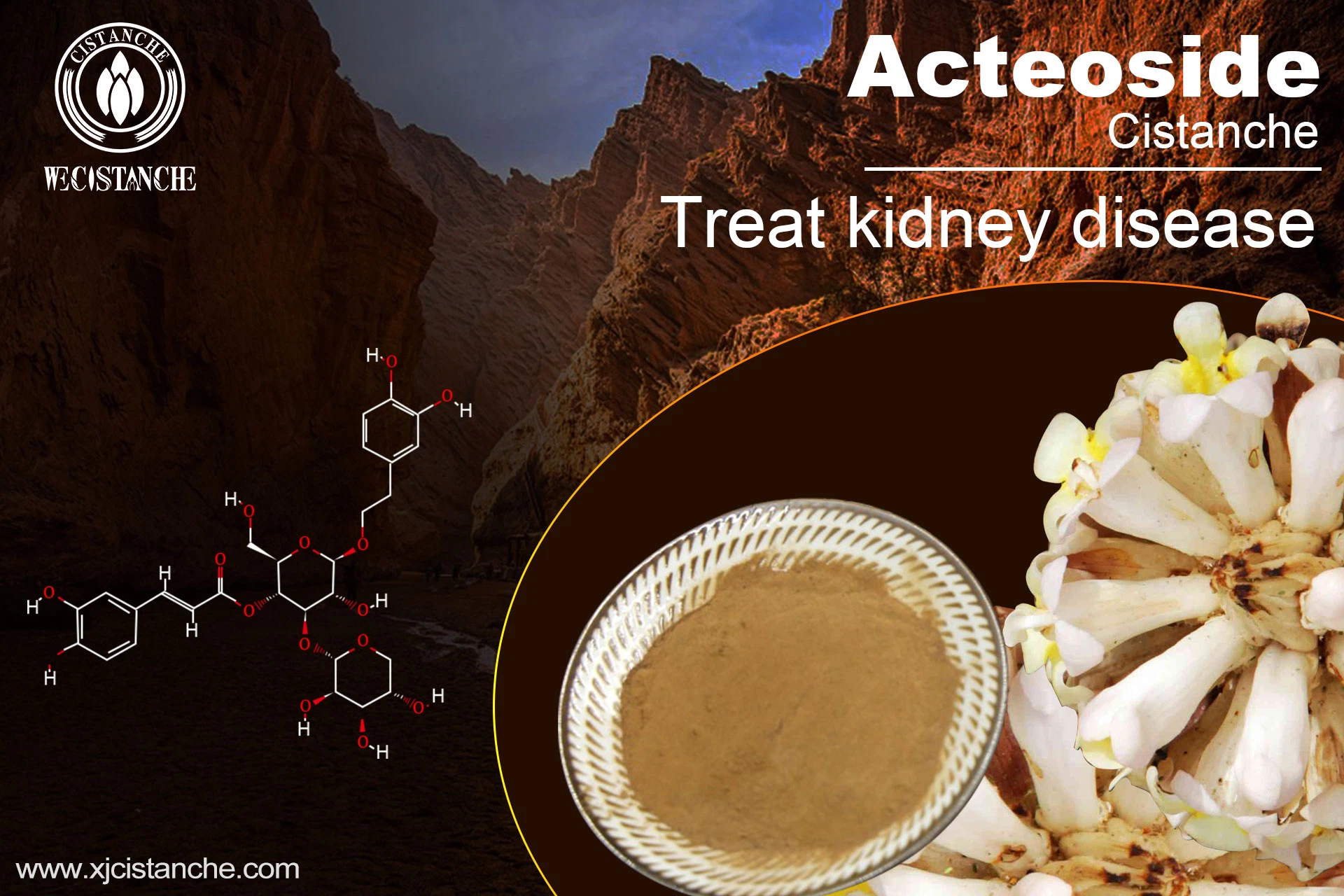 the best herb for kidney disease