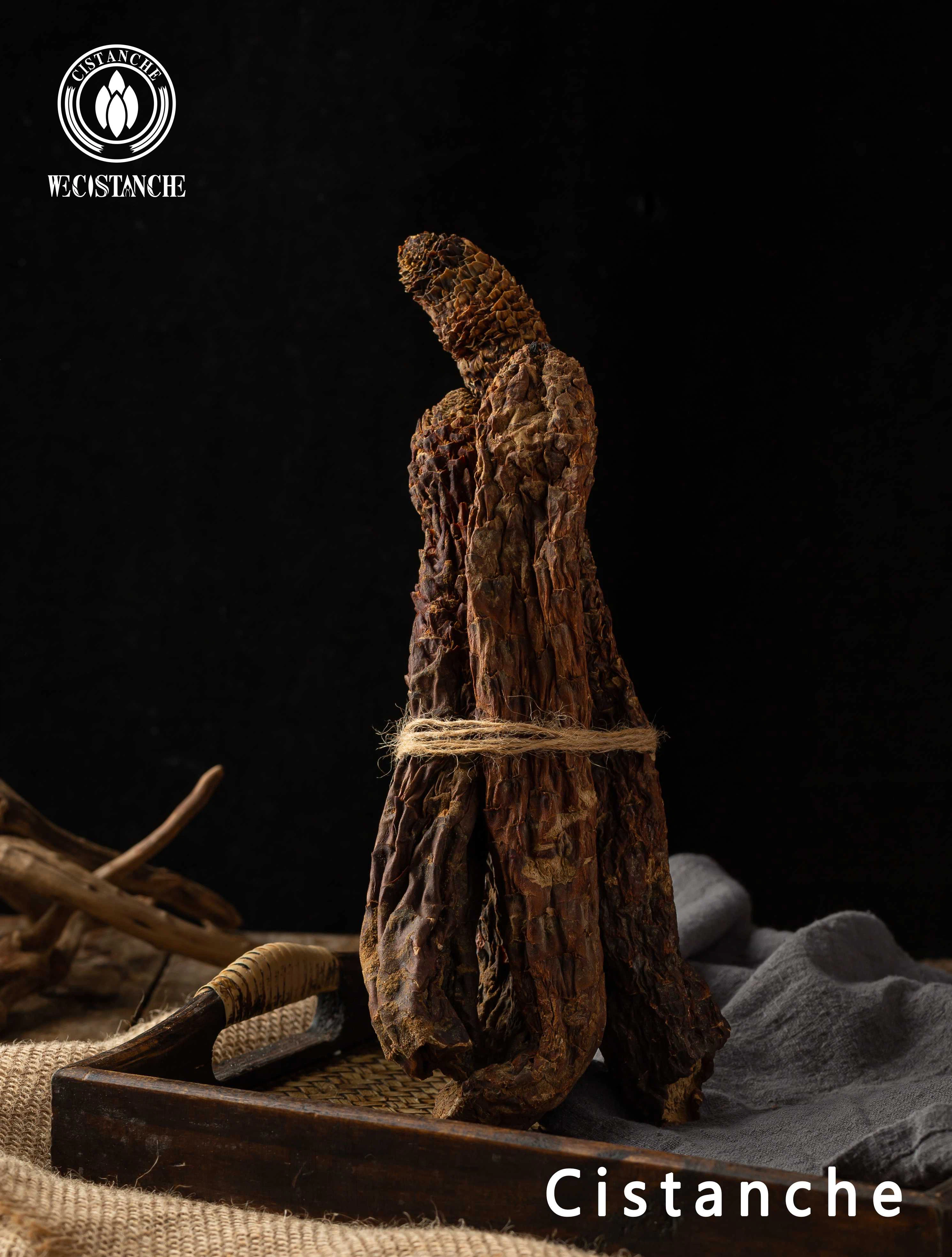 Cistanche tubulosa stem