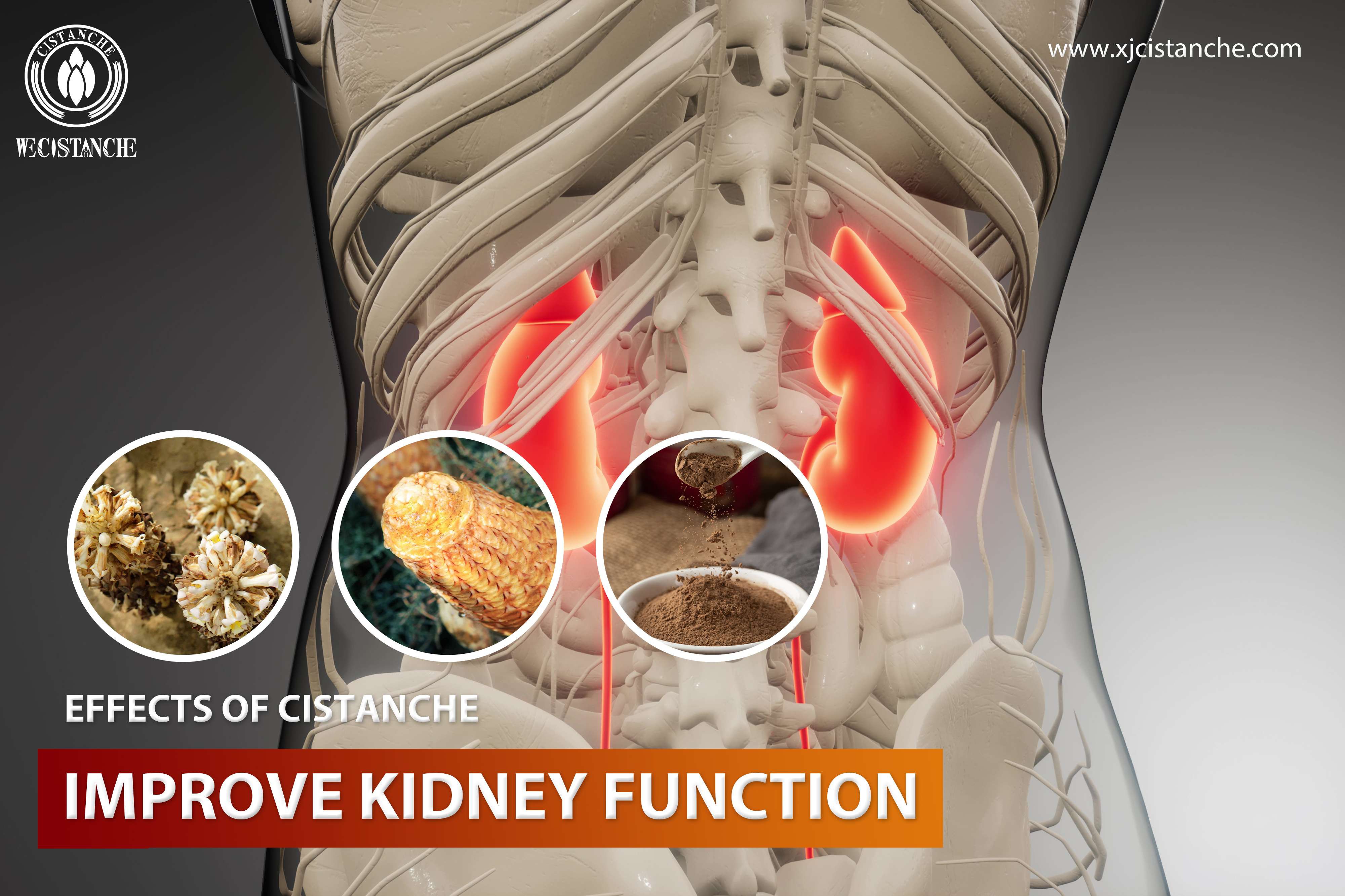 natural herb for kidney deficiency natural herb for kidney deficiency