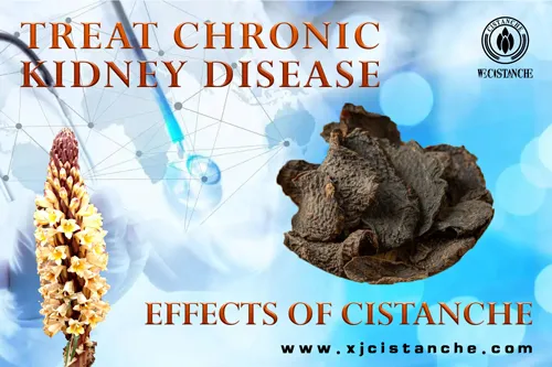 how to treat kidney disease