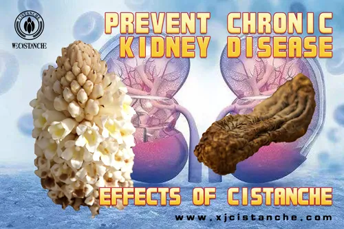 how to prevent ckd