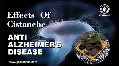Anti Alzheimer's disease Anti Alzheimer's disease