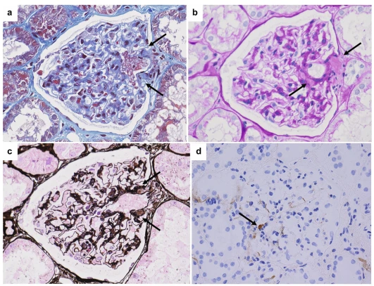 Figure 1 Figure 1