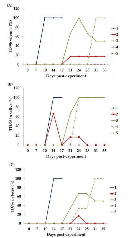 Figure 2. Number (percentage) of piglets positive for TD/96 as detected through QRRT-PCR [20] of the (A) blood, (B) saliva, and (C) feces of the piglets in each group during the experimental period. The Group 1 piglet was inoculated ironically with TD/96 at 7 DPE and served as the CSFV donor (i.e., primary invader) for Groups 2 and 3. The piglets in Group 2 that underwent LPC vaccination at 0 DPE and those in Group 3 that did not undergo LPC vaccination cohabited with the Group 1 piglet from 7–17 DPE. The piglets in Groups 4 and 5 cohabited with those in Groups 2 and 3 (i.e., secondary invaders), respectively, from 17–36 DPE.