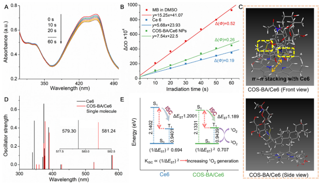 Figure 3 Energy mechanism of improved 1 O2 generation induced by COS-BA/Ce6 NPs. (A) UV Vis spectra of photodecomposition of 1,3-diphenylisobenzofuran (DPBF) after prolonged irradiation of COS-BA/Ce6 NPs. (B) In the first-order plots of DPBF UV absorption changes (DOD), the 1 O2 yield was evaluated using methylene blue (MB) (F Z 0.52) in DMSO as the reference compound. (C) Energy-minimized structures of a possible single-molecule COS-BA/Ce6 model viewed from the side and front, which was obtained according to the initial molecular configuration between Ce6 with COS-BA after MD simulation and following DFT calculations. (D) Predicted UV Vis absorption spectra transitions (vertical bars) of free Ce6 and an optimized COS-BA/Ce6 model. (E) Calculated energy levels of their lowest excited singlet state (S1) and lowest triplet state (T1), respectively, [Gaussian 09/B3LYP/6-31G (d, p)]. Where DEST was calculated as ES1  ET1.