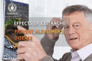 ways to improve memory ways to improve memory