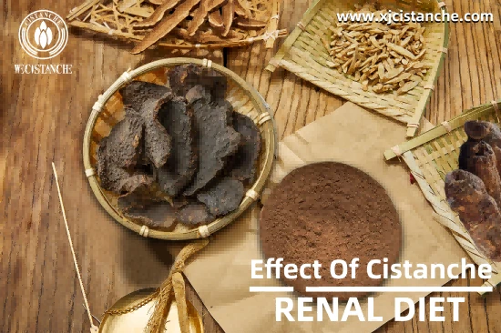 CISTANCHE EXTRACT WITH 25% ECHINACOSIDE AND 9% ACTEOSIDE FOR KIDNEY FUNCTION CISTANCHE EXTRACT WITH 25% ECHINACOSIDE AND 9% ACTEOSIDE FOR KIDNEY FUNCTION