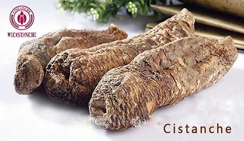  NATURAL ORGANIC CISTANCHE TUBULOSA EXTRACT WITH 30% ECHINACOSIDE AND 12% ACTEOSIDE