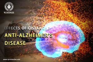 increase memory power