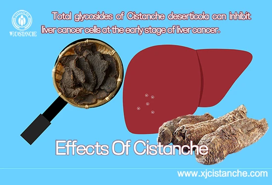 Total glycosides of Cistanche deserticola Total glycosides of Cistanche deserticola