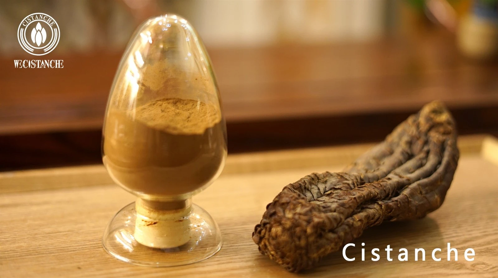 cistanche tubulosa for improving energy levels