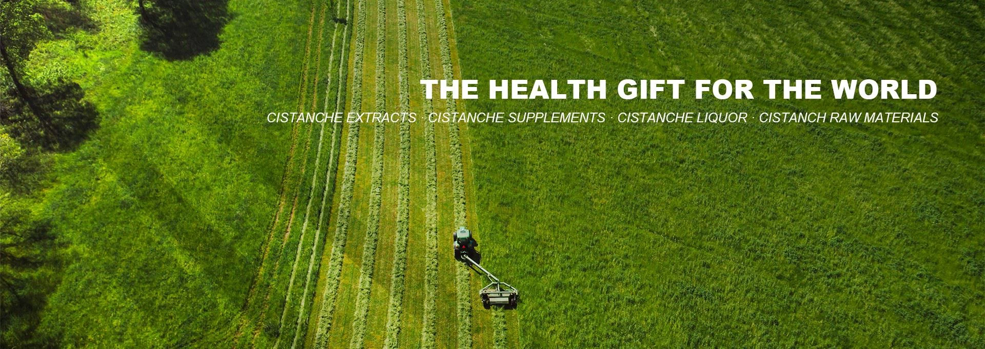 Cistanche tubulosa benefits and side effects