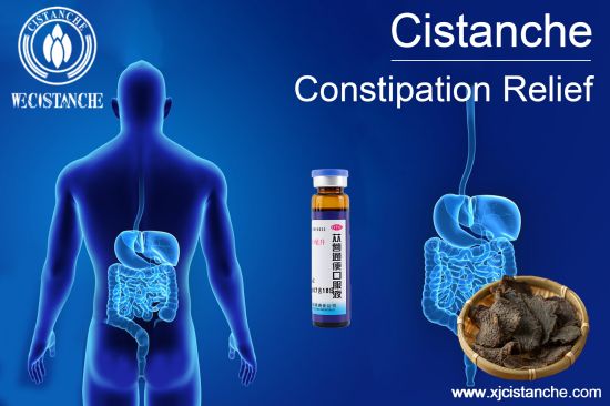 Cistanche Deserticola Oral Extract For Laxitive Cistanche Deserticola Oral Extract For Laxitive